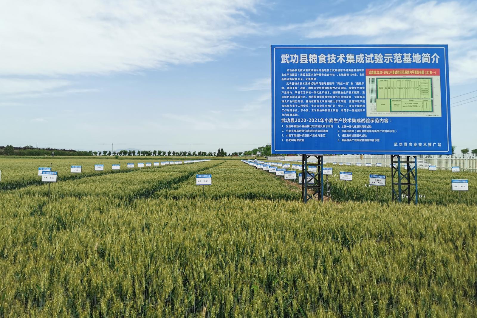 发展现代农业推动粮食产业高质量发展的武功实践